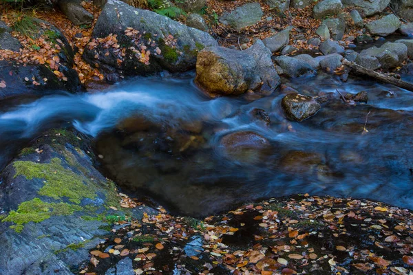 Scena Jesienna Camprodon Ripolles Pireneje Hiszpania — Zdjęcie stockowe