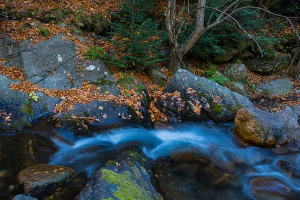 Camprodon Ripolles Pyrenees スペインの秋のシーン — ストック写真