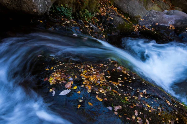 Scena Autunnale Camprodon Ripolles Pirenei Spagna — Foto Stock