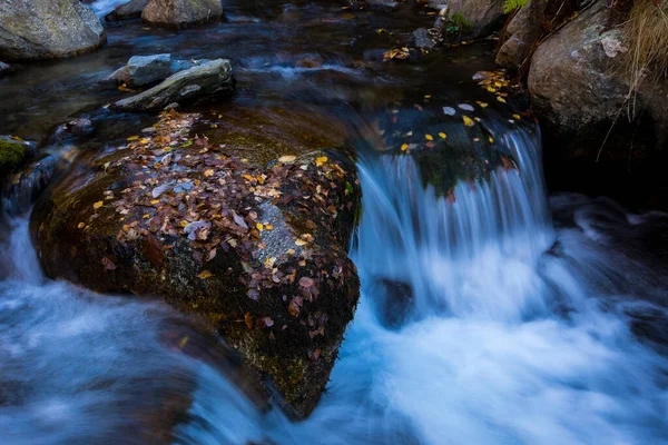 Autumn Scene Camprodon Ripolles Pyrenees Spain — Stock Photo, Image