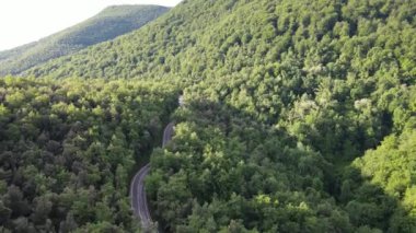 La Garrotxa, Girona, İspanya 'daki bahar manzarasının insansız hava aracı görüntüsü. 4K UHD