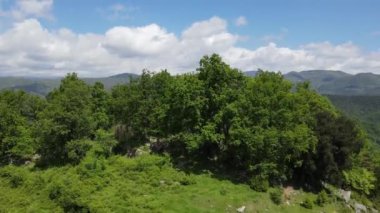 La Garrotxa, Girona, İspanya 'daki bahar manzarasının insansız hava aracı görüntüsü. 4K UHD