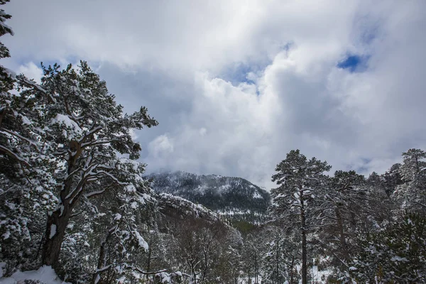 Bergueda dağlarında kış, Barselona, Katalonya, Pireneler, İspanya