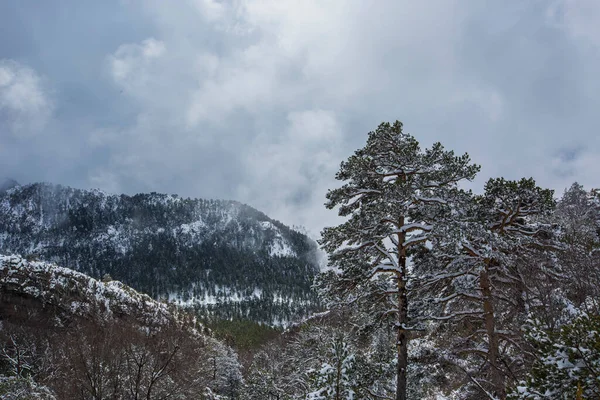 Bergueda dağlarında kış, Barselona, Katalonya, Pireneler, İspanya