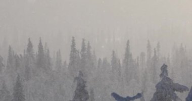 Winter landscape in Pallas Yllastunturi National Park, Lapland, Finland