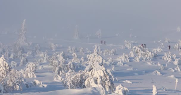 Ski Expedition Pallas Yllastunturi National Park Lapland Finland — Stockvideo