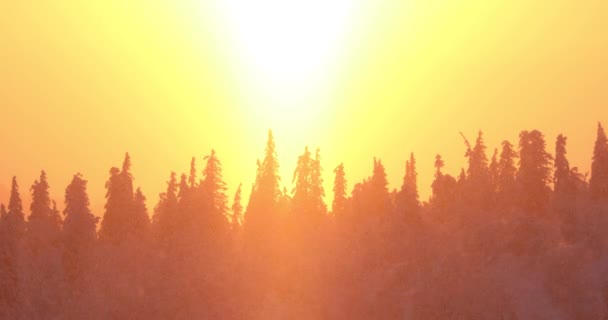 Zimowy Zachód Słońca Parku Narodowym Pallas Yllastunturi Laponia Finlandia — Wideo stockowe