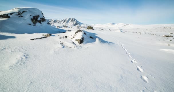 Norveç Dovrefjell Ulusal Parkı Ndaki Kış Manzarasının Zaman Aşımı — Stok video