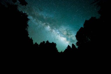 Samanyolu El Pilar Ormanı, La Palma Adası, Kanarya Adaları, İspanya.