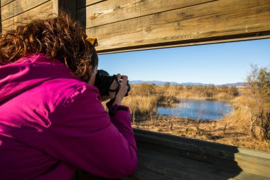 Aiguamolls De L Emporda Doğa Parkı 'nda yürüyen ve kuşları fotoğraflayan genç bir kız..