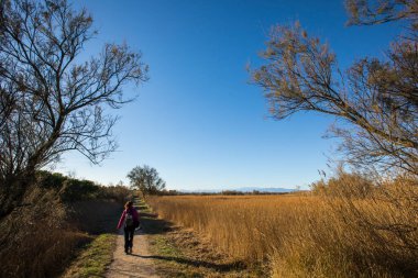 Aiguamolls De L Emporda Doğa Parkı 'nda yürüyen ve kuşları fotoğraflayan genç bir kız..