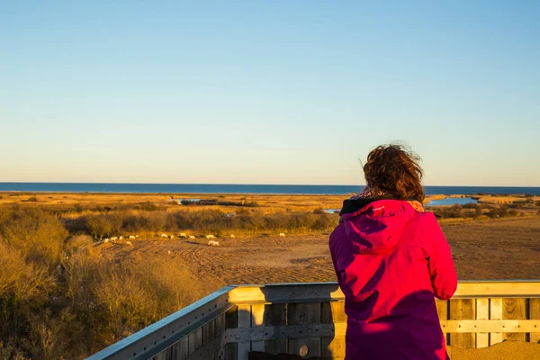 Aiguamolls De L Emporda Doğa Parkı 'nda yürüyen ve kuşları fotoğraflayan genç bir kız..
