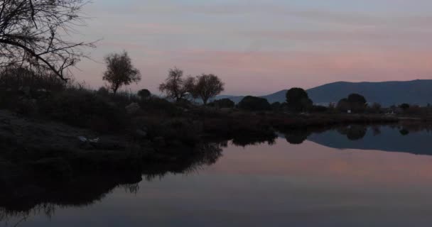 Murmuración Estorninos Aiguamolls Emporda Nature Park España — Vídeos de Stock