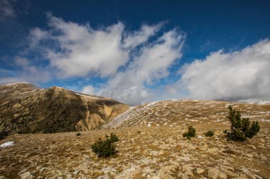 Vallter dağlarında kış manzarası, Pireneler, İspanya.