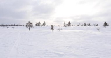 Winter landscape in Pallas Yllastunturi National Park, Lapland, Finland