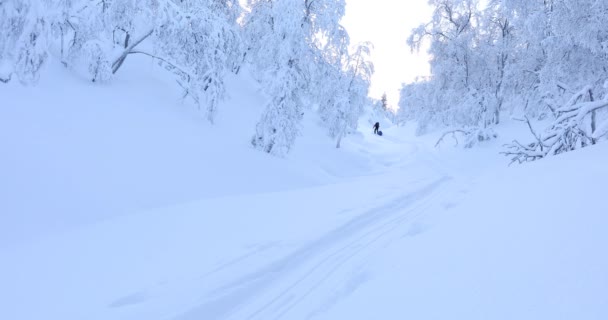 Lyžařská Výprava Národním Parku Pallas Yllastunturi Laponsko Finsko — Stock video