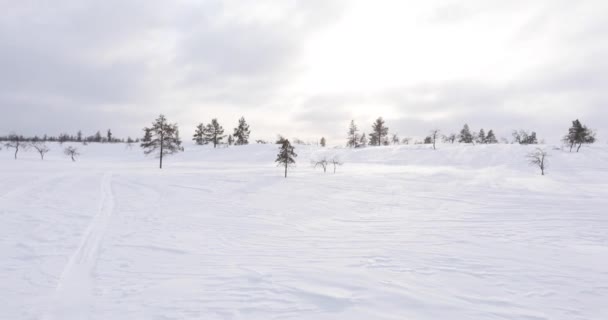 Winter Landscape Pallas Yllastunturi National Park Lapland Finland — стокове відео