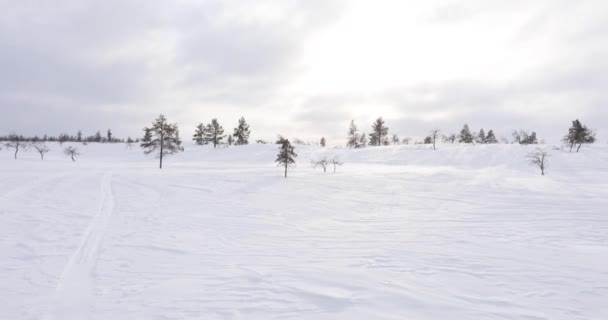 Krajobraz Zimowy Parku Narodowym Pallas Yllastunturi Laponia Finlandia — Wideo stockowe