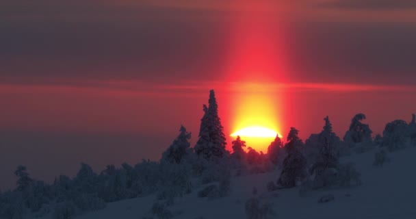 Vintersolnedgång Pallas Yllastunturi Nationalpark Lappland Finland — Stockvideo