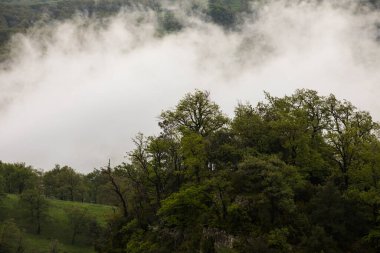 Salt De Coromina Şelalesi 'nde bahar günbatımı, La Garrotxa, İspanya.