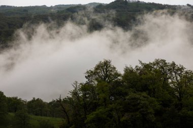 Salt De Coromina Şelalesi 'nde bahar günbatımı, La Garrotxa, İspanya.