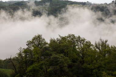 Salt De Coromina Şelalesi 'nde bahar günbatımı, La Garrotxa, İspanya.