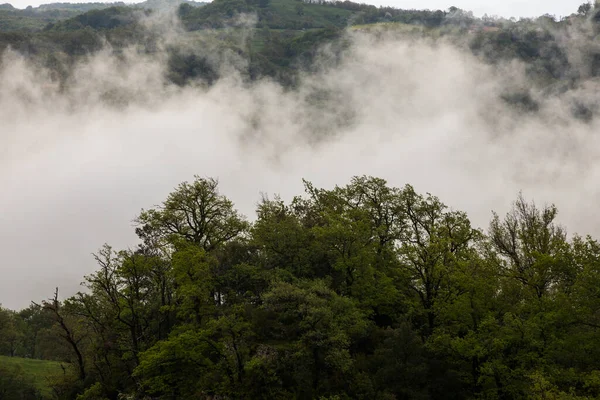 Salt De Coromina Şelalesi 'nde bahar günbatımı, La Garrotxa, İspanya.