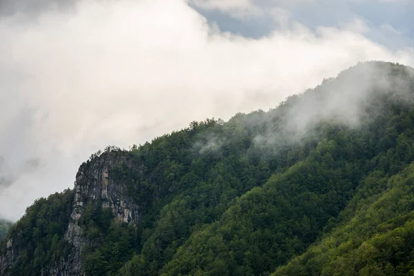 Puigsacalm tepesinde bahar günbatımı, La Garrotxa, İspanya.