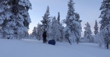 Pallas Yllastunturi Milli Parkı, Laponya, Finlandiya 'da kayak gezisi