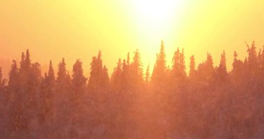 Winter sunset in Pallas Yllastunturi National Park, Lapland, Finland