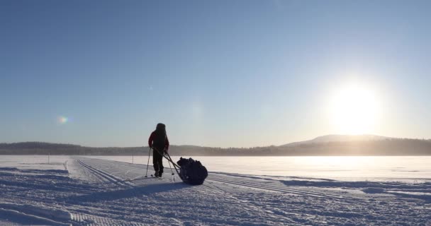Expedición Esquí Parque Nacional Pallas Yllastunturi Laponia Finlandia — Vídeo de stock