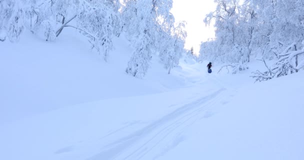Ski Expedition Pallas Yllastunturi National Park Lapland Finland — Stock Video