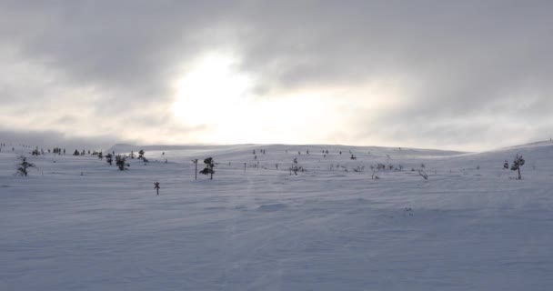 Ski Expedition Pallas Yllastunturi National Park Lapland Finland — Stockvideo