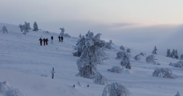 Wyprawa Narciarska Parku Narodowym Pallas Yllastunturi Laponia Finlandia — Wideo stockowe