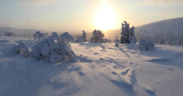 Vintersolnedgång Pallas Yllastunturi Nationalpark Lappland Finland — Stockvideo