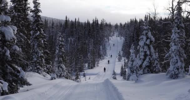 Expédition Ski Dans Parc National Pallas Yllastunturi Laponie Finlande — Video