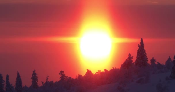 Winter Sunset Pallas Yllastunturi National Park Lapland Finland — Vídeo de stock