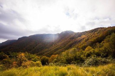 Puigsacalm tepesinde sonbahar gündoğumu, La Garrotxa, Girona, Kuzey İspanya.