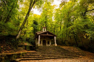 Sonbahar, Sant Marti del Corb Kilisesi, La Garrotxa, Kuzey İspanya.