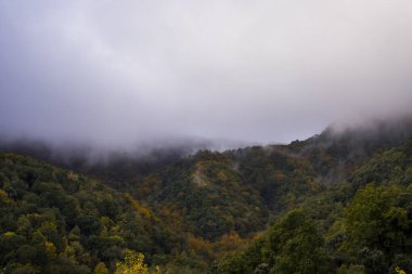 Puigsacalm tepesinde sonbahar gündoğumu, La Garrotxa, Girona, Kuzey İspanya.