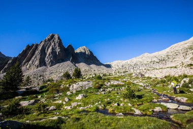 Summer landscape in Posets Maladeta Nature Park, Spain.