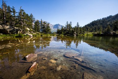 Summer landscape in Posets Maladeta Nature Park, Spain.
