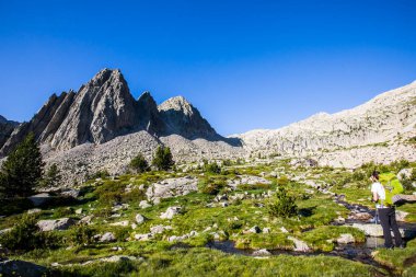 İspanya 'da Posets Maladeta Doğa Parkı' nda yaz manzarası.