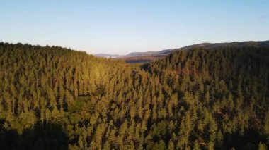 Aerial scene with drone of the summer landscape in Navarra, Pyrenees, Spain. 4K UHD