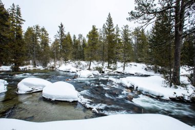Capcir, Cerdagne, Pyrenees, Fransa 'da kış nehri.