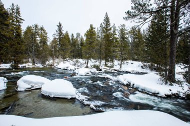Capcir, Cerdagne, Pyrenees, Fransa 'da kış nehri.