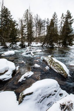 Capcir, Cerdagne, Pyrenees, Fransa 'da kış nehri.