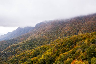 Puigsacalm tepesinde sonbahar gündoğumu, La Garrotxa, Girona, Kuzey İspanya.