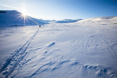 Ski expedition in Dovrefjell National Park, south Norway.