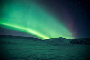 Northern lights in Reinheim Cabin, Dovrefjell National Park, south Norway.